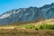 Horses graze in the foothills