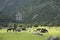 Horses graze in a mountain valley in Kyrgyzstan