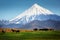 Horses graze under the volcano, Kamchatka.