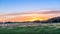 Horses graziing in a meadow on a rural Maryland farm at sunset