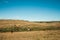 Horses grazing on landscape of rural lowlands