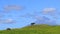 Horses grazing on mount Taranaki background