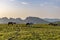 Horses grazing near seven rila lakes, Bulgaria