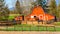 Horses grazing in the paddock near Fort Langley British Columbia