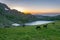 Horses grazing at the tear lake at rila, Bulgaria