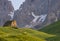 Horses in the green fields at sunrise, Dolomites, Italy