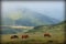 Horses in the green foothills of the mountains,