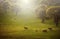 Horses on green meadow in spring