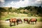 Horses on green rural land