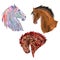 Horses heads polygons coloured and outline hand draw vector