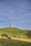 Horses on Hoad Hill