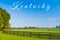 Horses at horse farm. Country summer landscape