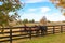 Horses at horsefarm. Autumn country landscape