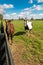 Horses at horsefarm. Country landscape