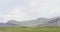 Horses - Icelandic horse on Iceland Beautiful Icelandic horses standing on field