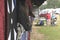 Horses in its stall in Belleville, Michigan