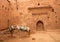 Horses in the Kasbah courtyard