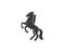 Horses logo design vector illustration