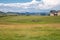 Horses on a meadow graze on a sunny summer day