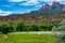 Horses Near Zion National Park, Utah.