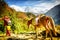 Horses in Nepal