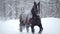 Horses Outside during a Winter Snowstorm