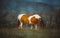 Horses on a pasture. Bieszczady mountains, Poland. The Hucul or Carpathian is a pony small horse breed originally