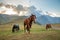 Horses on pasture and mount Kazbek on the background