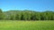 Horses on a pasture. Mountain area.