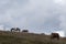 Horses pasturing on top of a hill, beneath an overcast, moody sk