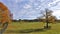 Horses quietly grazing in a pasture on an Ontario farm in autumn with vivid fall colors in the trees