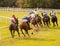 Horses racing down the track