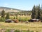 Horses in ranch corral