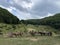 Horses ready for mountain horse ride.