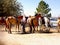 Horses and Riders, Bryce Canyon City, Utah