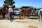 Horses and Riders, Bryce Canyon City, Utah