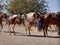 Horses and Riders, Bryce Canyon City, Utah