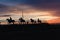 Horses Riders Silhouetted Colors Landscape