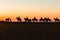 Horses Riders Silhouetted Dawn