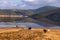 Horses roaming free at Shudu Lake at Shangri-la