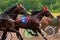 Horses run at high speed along the track of the racetrack.