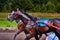 Horses run at high speed along the track of the racetrack. Competitions - horse racing