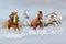 Horses run in snow. Christmas image