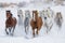 horses running in the snow