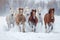 horses running towards the camera in winter