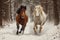 horses running towards the camera in winter