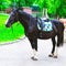 Horses saddled for leisurely riding in the Park