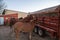 Horses saddled up at a corral at the Willow Creek Recreation Area, for a hunting trip