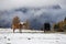 Horses at Seiser Alm, South Tyrol, Italy