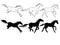 Horses. Set of linear and silhouette horses. Three galloping horses.